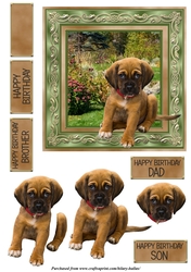 Cute Puppy