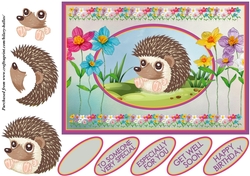 Cute Little Hedgehog