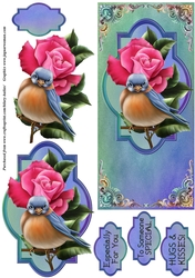 Bluebird DL