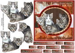 Basket of Kittens