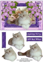 Fluffy Kitten With Lilac