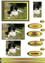 English Setter Pyramid Card