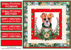 Christmas Boxer