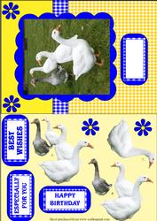Smallholder Animals - Geese