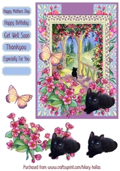 Black Cat on Terrace