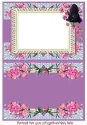 Black Cat Insert