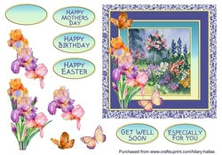 Watercolour Flower Garden