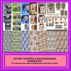 Kittens Topper & Background Bumper Kit