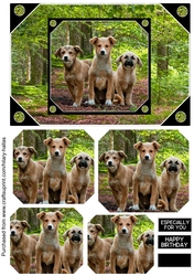 Three Cute Pups
