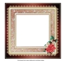 Cream & Pink Insert