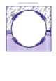Lavender Insert