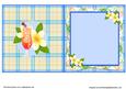 Tropical Dreams Insert