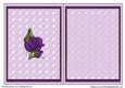 Purple Roses Insert