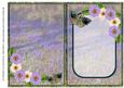 Bluebells, Dahlias & Butterflies Insert