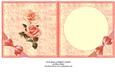 Pink Roses & Ribbons Insert