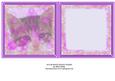 Sugar Sweet Kitten Insert