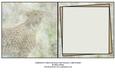 Gorgeous Cheetah Male or Female Card Insert