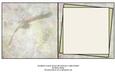 Soaring Eagle Male or Female Card Insert