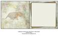 Gorgeous Tiger Male or Female Card Insert