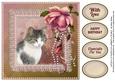 Lovely Cat with Lace, Ribbon & Pearls