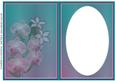 Beautiful Orchids Insert
