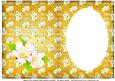 Brilliant White Dog Roses Insert