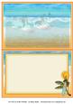 Sun Sea & Surf Insert