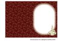White Poinsettia Insert