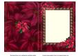 Poinsettia Insert