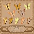 Beautiful Butterflies - Browns