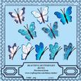 Beautiful Butterflies - Blues