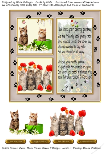 WE ARE FRIENDLY LITTLE PUSSY CATS