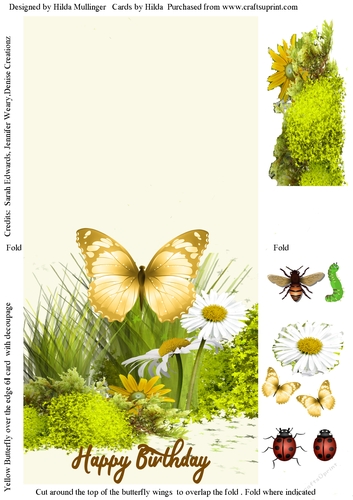 YELLOW BUTTERFLY OVER THE EDGE