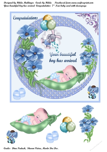 YOUR BABY BOY HAS ARRIVED  CONGRATULATIONS