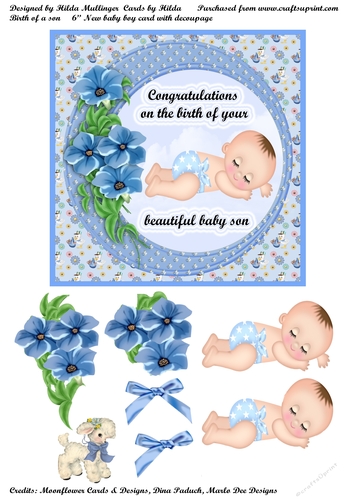 BIRTH OF A SON
