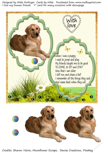 I love my Human friends  3