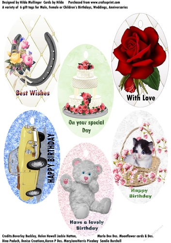 A variety of 6 Gift tags