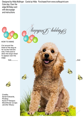 CUTE DOG  OVERTHE EDGE
