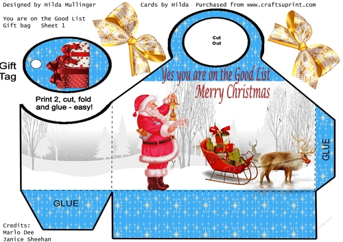 You are on the Good List  Gift bag