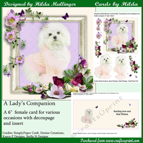 A Ladys Companion