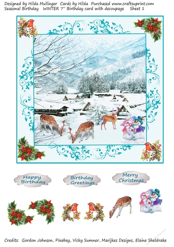 Seasonal Birthday   WINTER