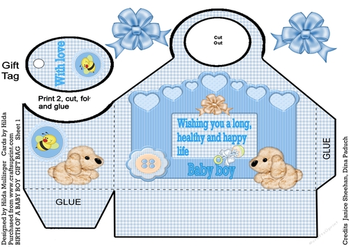 GIFT OF A BABY BOY  GIFT BAG