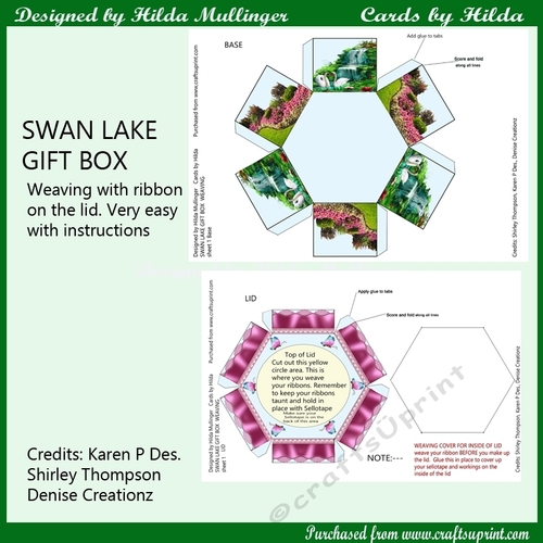 Swan Lake Gift Box Weaving
