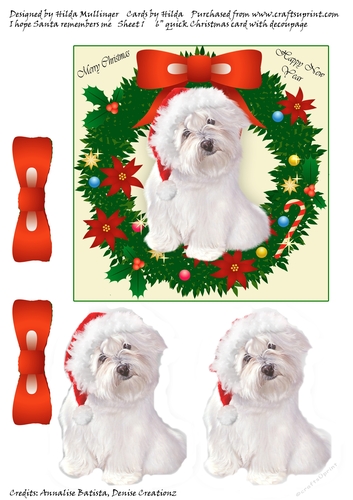 I HOPE SANTA REMEMBERS ME