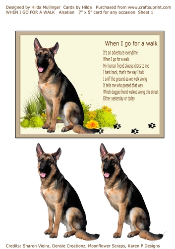 WHEN I GO FOR A WALK   Alsatian
