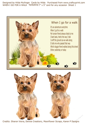 WHEN I GO FOR A WALK  Yorkshire Terrier