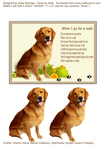WHEN I GO FOR A WALK Labrador