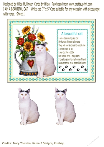 I AM A BEAUTIFUL CAT   White