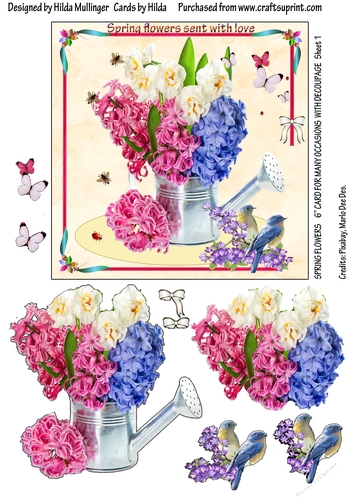 SPRING FLOWERS