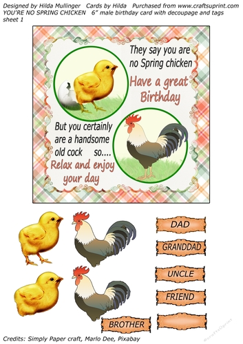 YOURE NO SPRING CHICKEN